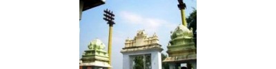 245. திருவன்பார்த்தான் பனங்காட்டூர்